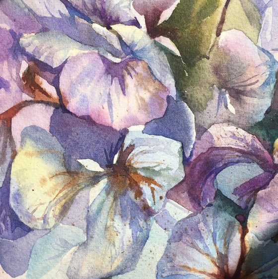 Hydrangea Bouquet. Spring flowers painting