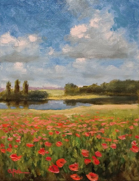 Summer impression. Poppies