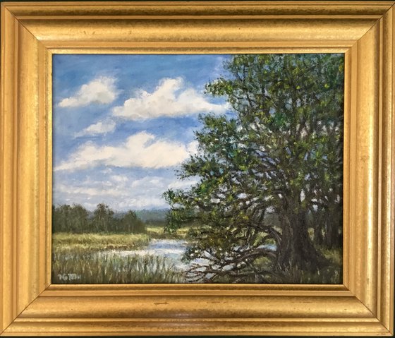 MARSH OAKS - oil 8X10 (SOLD)