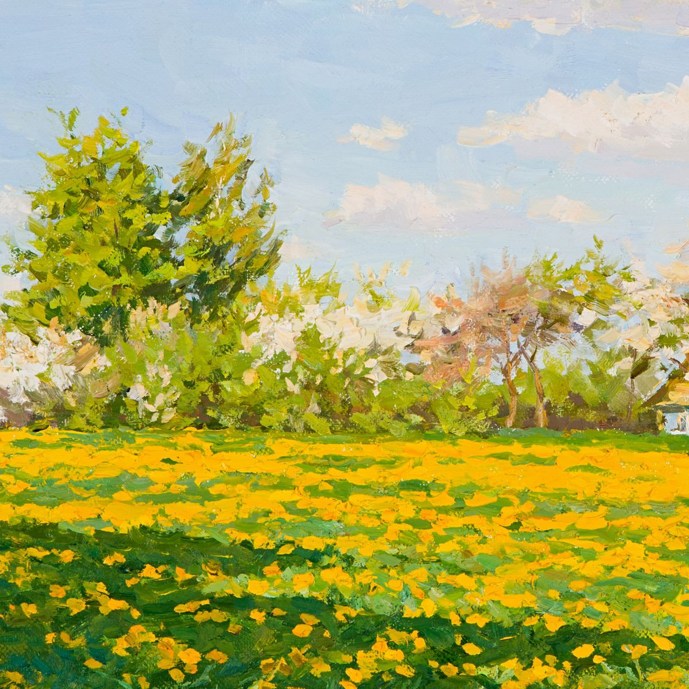 Dandelion Field Oil Painting By Igor Barkhatkov Artfinder