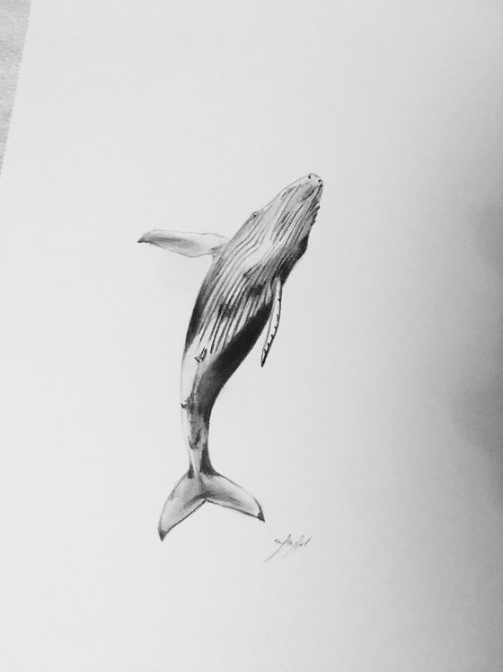 Whale