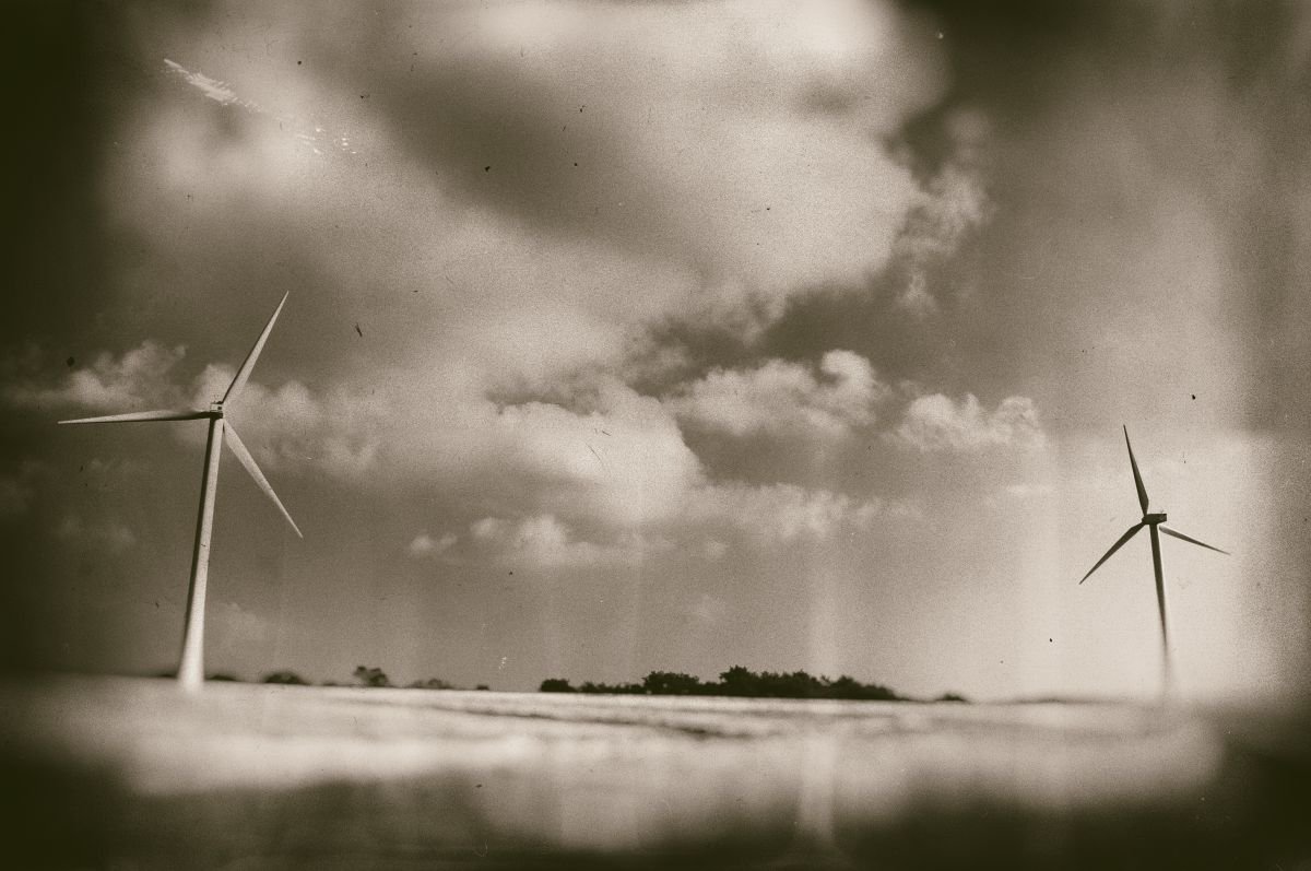 Organic Abstract Photograph By Marc Ehrenbold, 40 X 30", Twin Turbine, Original Artwork