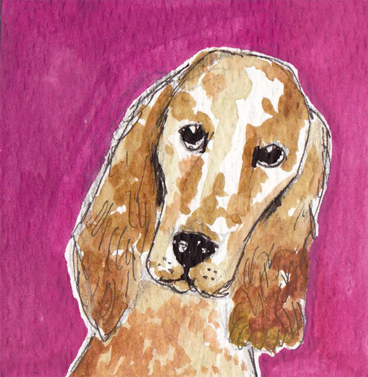 English Cocker Spaniel by Julia Rigby
