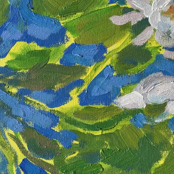 Water lilies