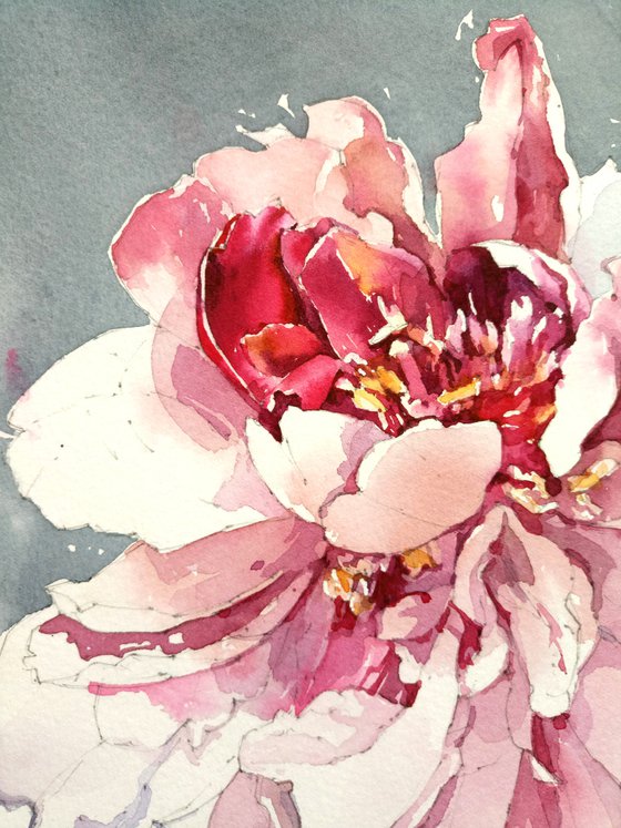Fantasy flower "Peony on a gray background" original botanical watercolor square format