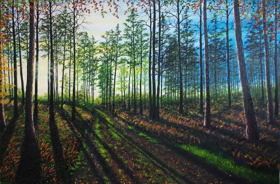 Shadows Before Dusk
