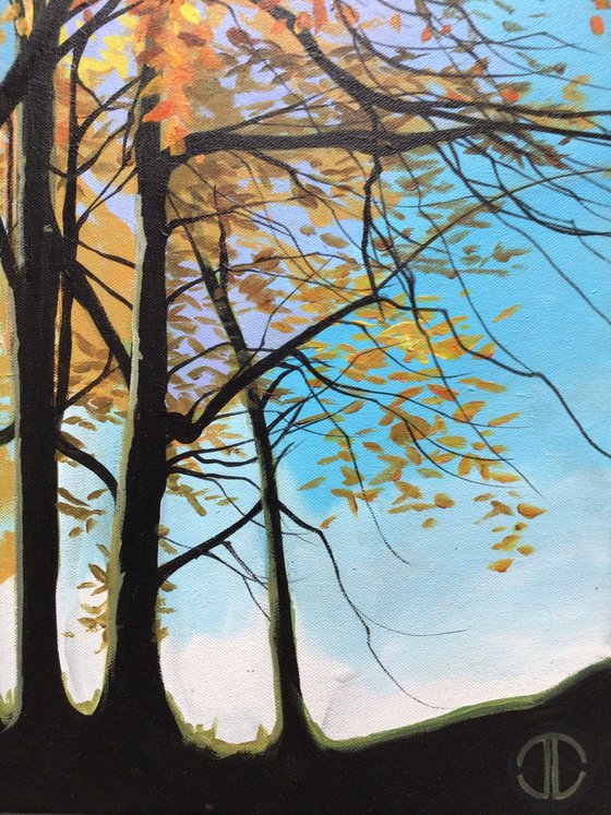 The Beeches At Minnowburn