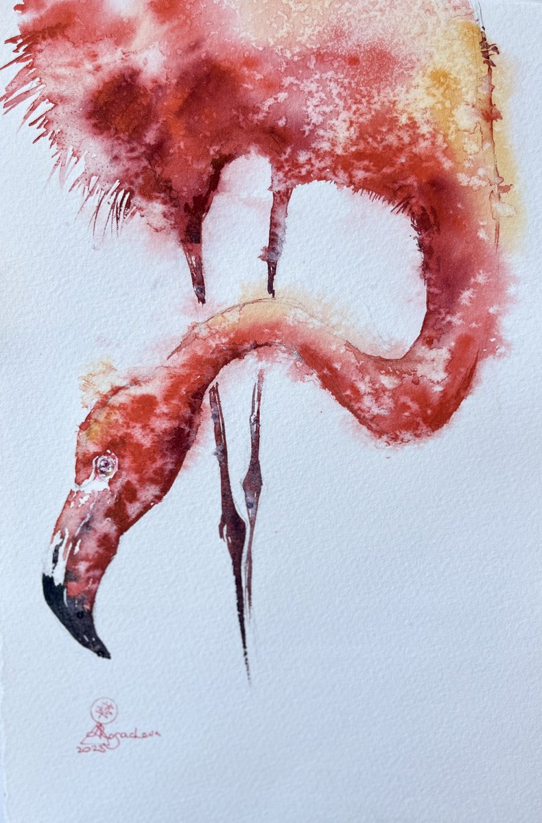 Flamingo by Larissa Rogacheva