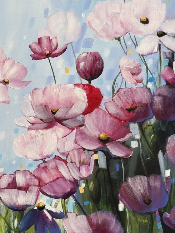 Poppies Land 5