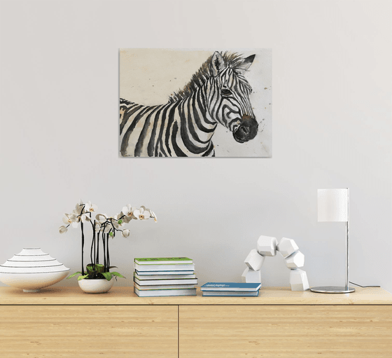 Zebra