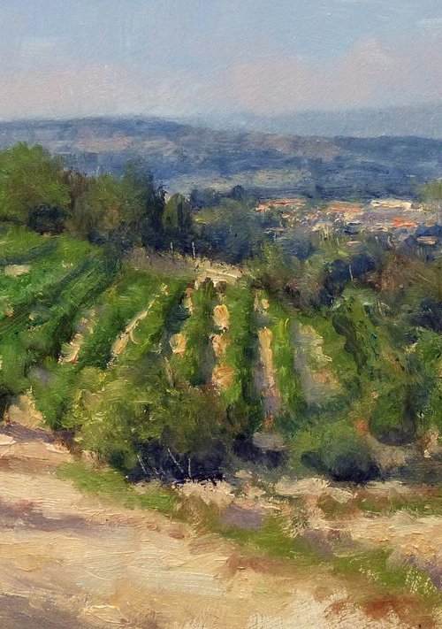 Vineyards near Châteauneuf by Pascal Giroud
