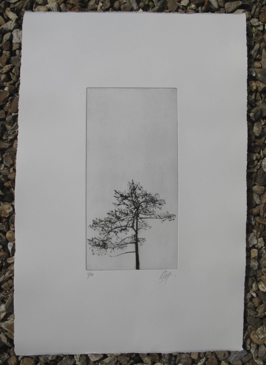 Tree 3 by richard kaye