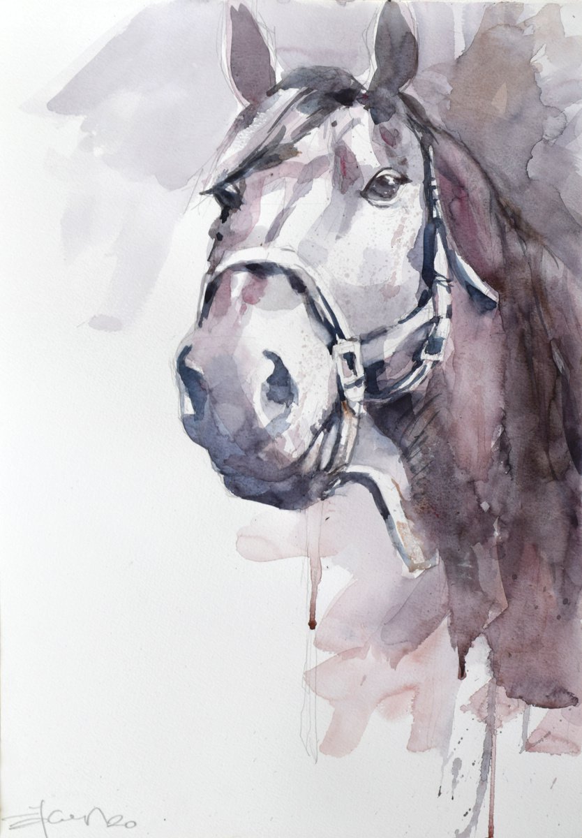Horse head 8 by Goran igoli? Watercolors