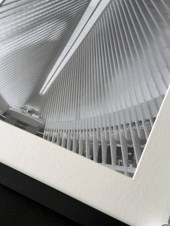 THE WHITE GEOMETRIES