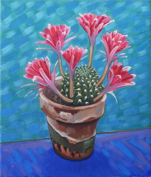 Cactus in Flower by Richard Gibson