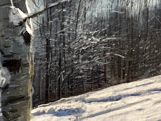 Light in the Snowy Forest