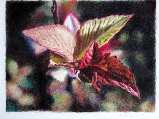 Leaves barely hatched #2 Realistic fine art Still life drawing Ideal gift deco design Christmas