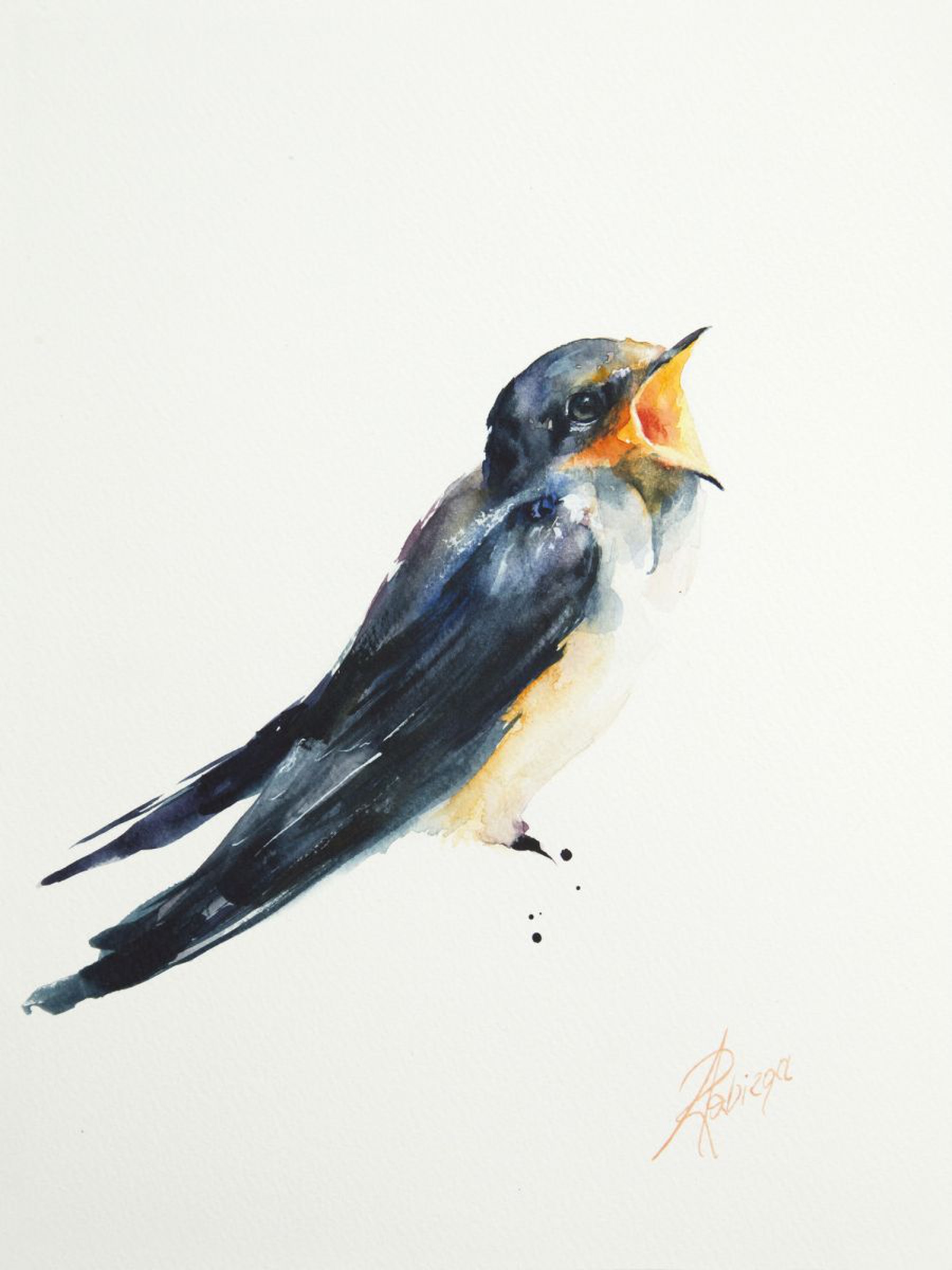 Barn Swallow Hirundo Rustica Artfinder