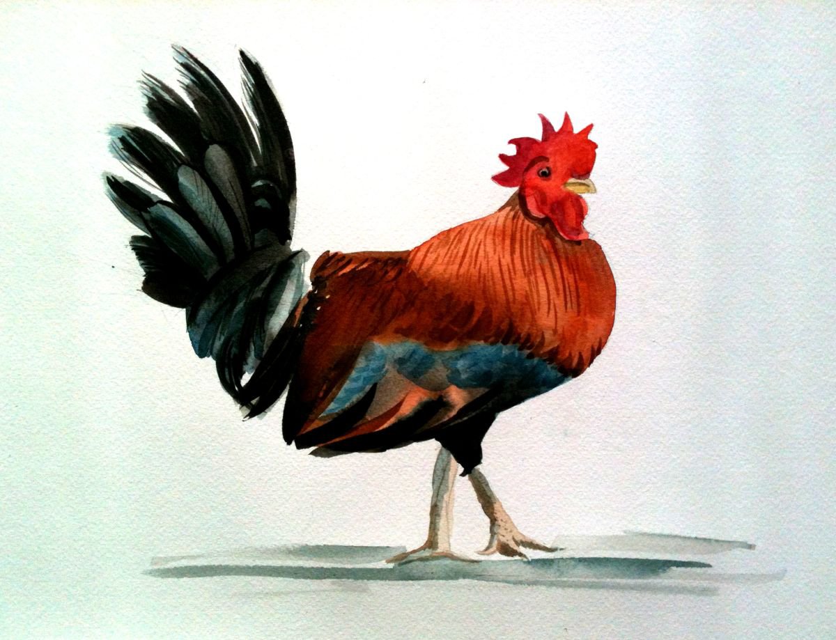 Cockerel by Mary Stubberfield