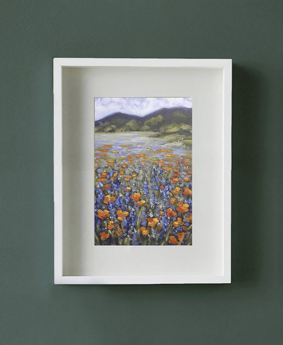 Orange poppy field