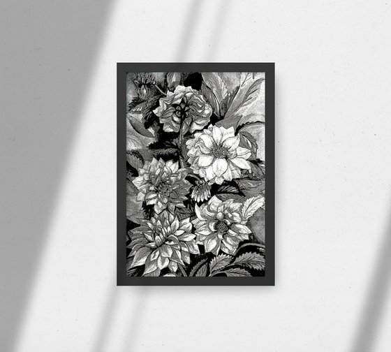 Chrysanthemums in black and white, print