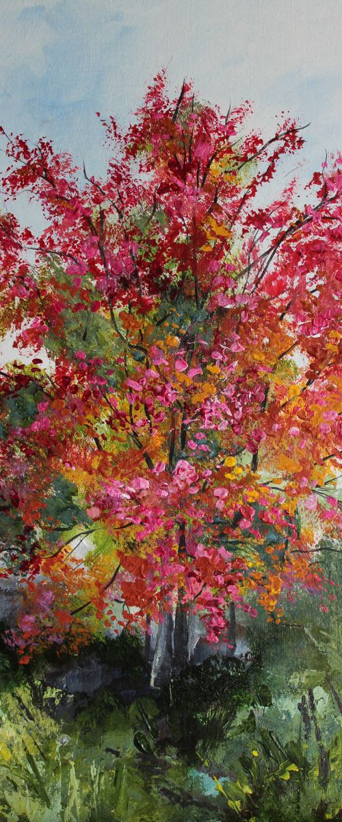 Maple Tree by Valerie Jobes