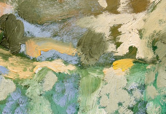Olive Groves