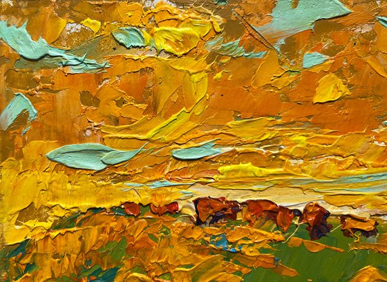 Yellow sunset in the field