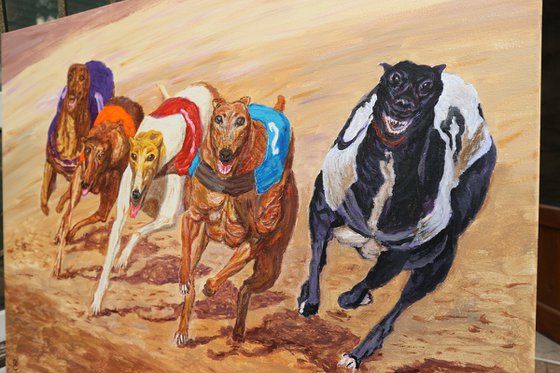 Dog Race, 80*60
