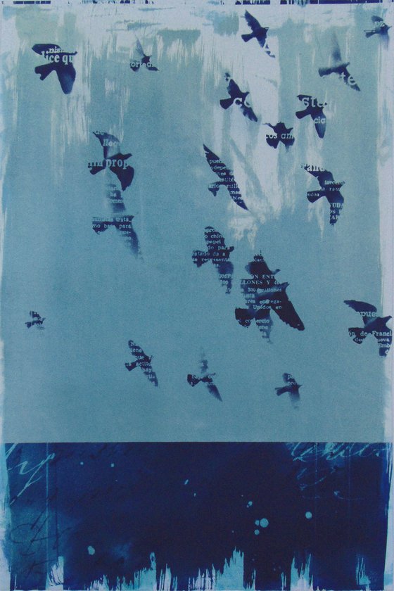 Gum bichromate_12_40X60 cm_Birds