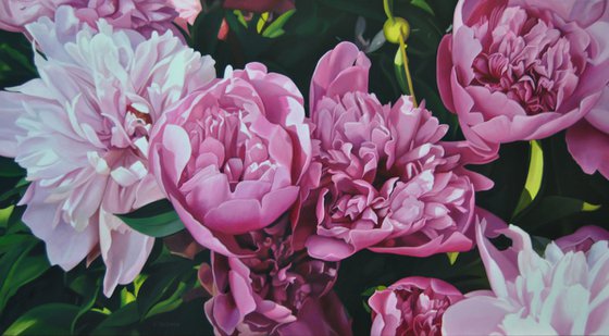 Peonies 2 , Original Oil on Canvas Art