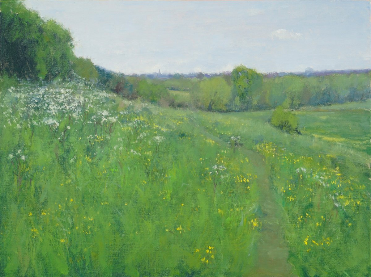 Impressionistic Landscape Oil Painting By Alex James Long, 24 X 18, Buttercups And Cow Parsley, Original Artwork