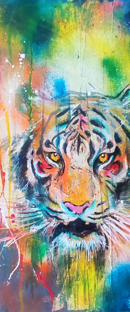 Tiger by beata harasim
