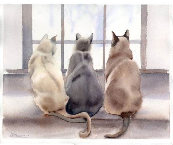 Three cats