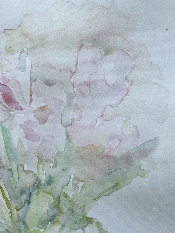 Peonies 40x60cm 2025