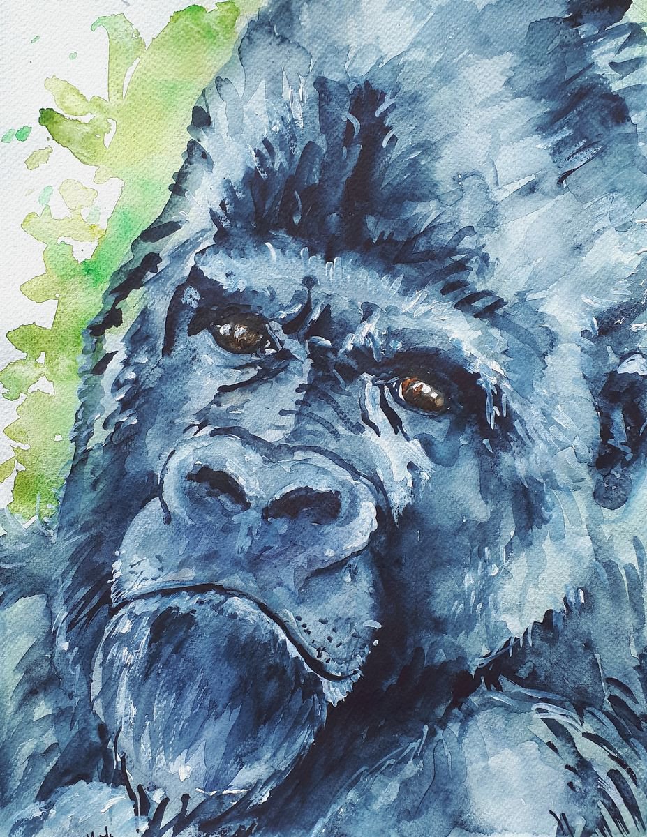 Gorilla by Marily Valkijainen