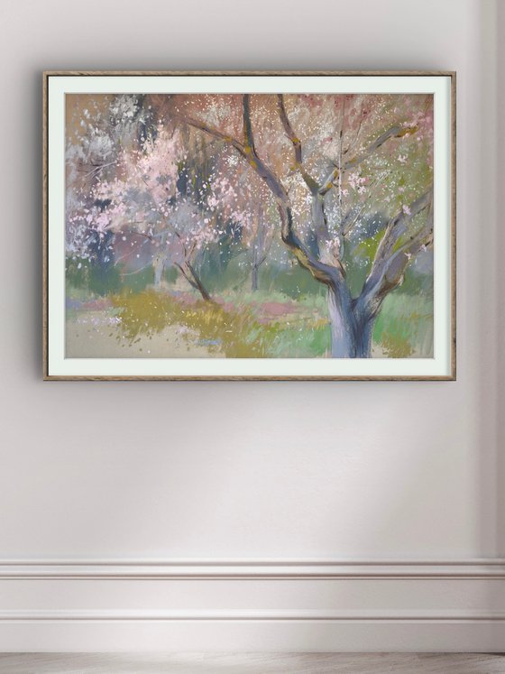 Under the almond blossoms