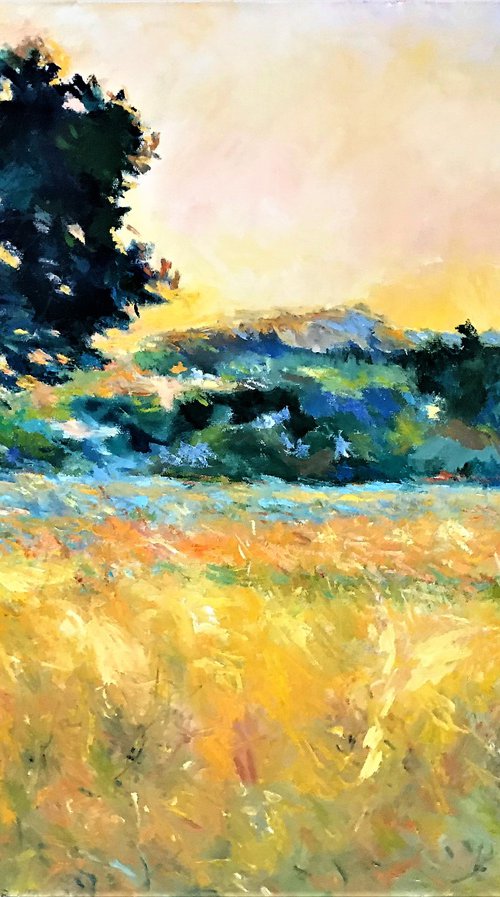 “Late Summer Sun Off Falls Rd” by Steven Hagy