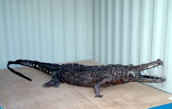 ALLIGATOR (crocodile)
