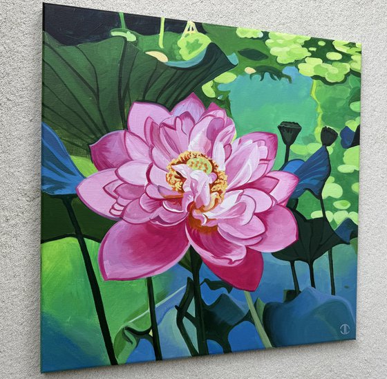 lotus flower