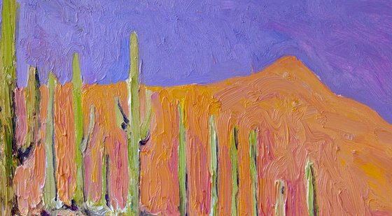 Desert Peace. Saguaros