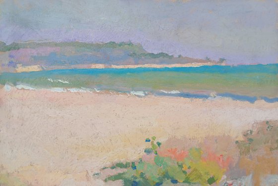 Wild Beach