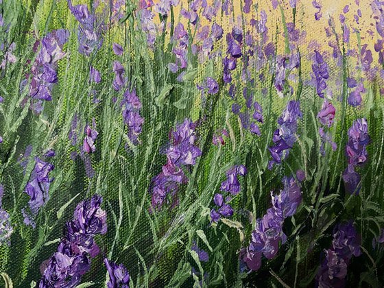 Lavender Dream