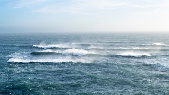 THE BREATH OF THE OCEAN