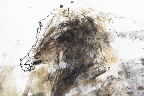 Equine Nude 167t