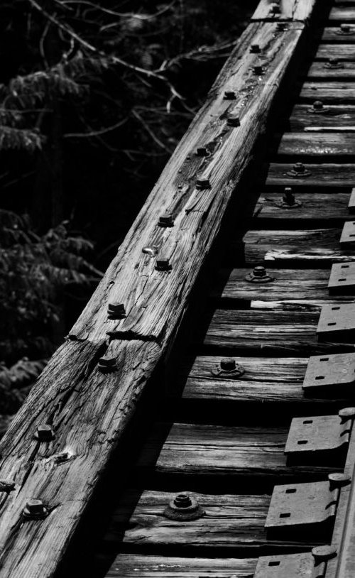 Railway Bridge, North Carolina, USA. by Charles Brabin