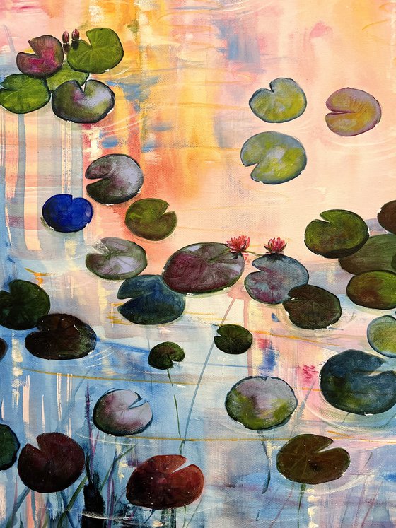 Water Lilies At Sunset 8
