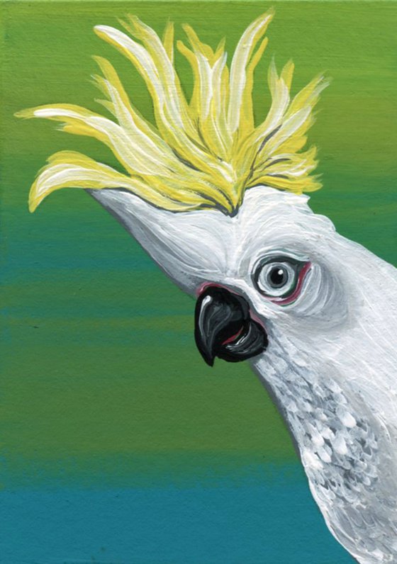 ACEO ATC Original Miniature Painting Sulfur Crested Cockatoo Parrot Pet Bird Art-Carla Smale