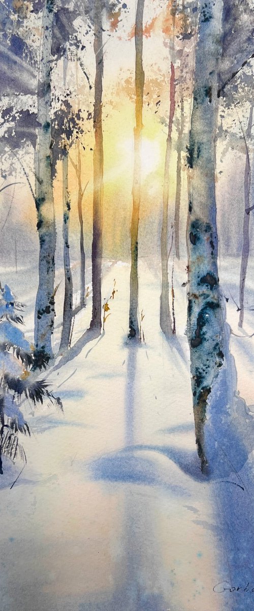 Birch grove in winter glow by Eugenia Gorbacheva