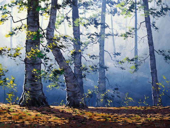 Forest trees and Sun rays